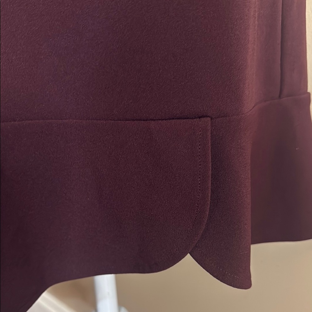 Express Burgundy Spaghetti Strap Slip Mini Dress - Picture 4 of 13